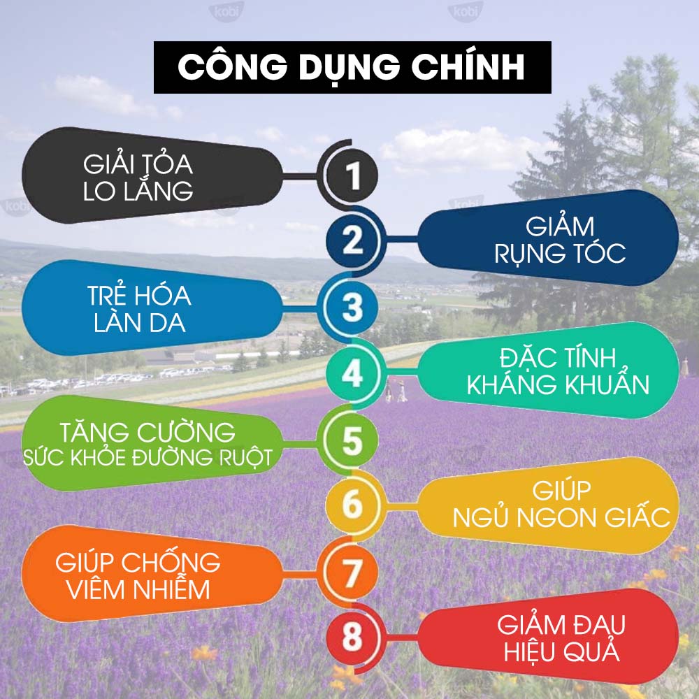 Tinh Dầu Oải Hương Kobi Lavender Treo Phòng, Treo Xe Ô Tô, Treo Tủ Quần Áo - Tinh Dầu Thiên Nhiên Giúp Khử Mùi, Thơm Phòng, Chống Say Xe Hơi, Nhập Khẩu Từ Pháp