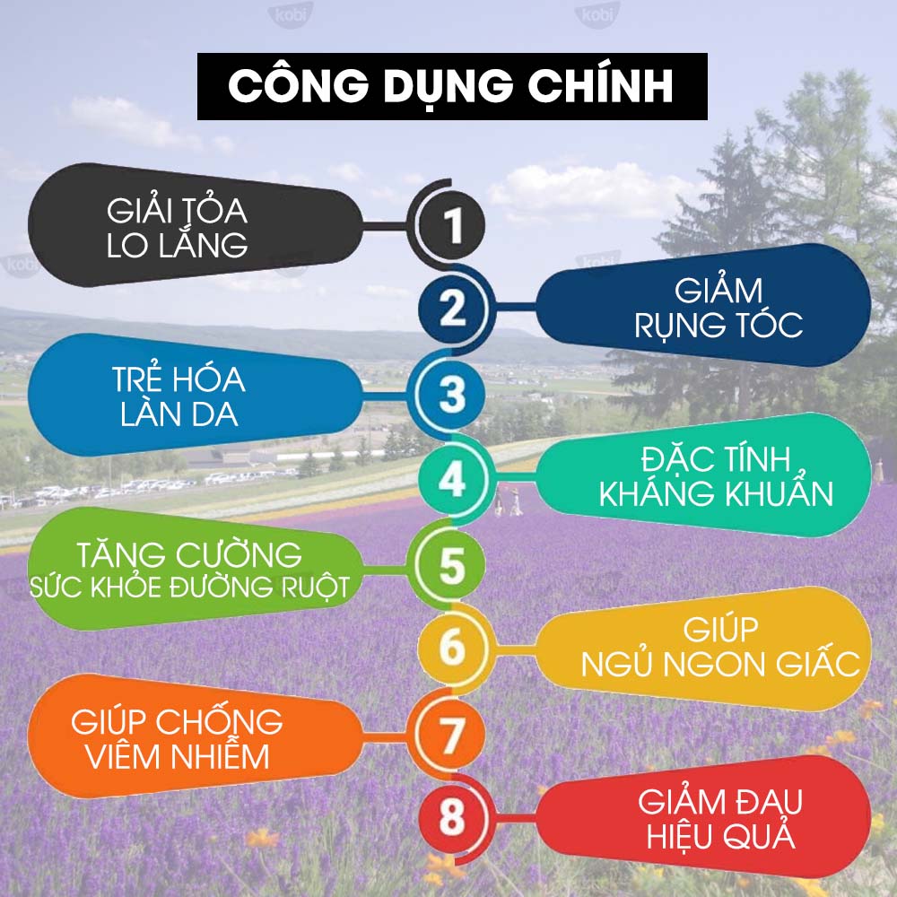 Tinh Dầu Oải Hương KOBI 30ml nguyên chất tặng kèm Vỏ lọ treo khuếch tán tinh dầu siêu tiện dụng