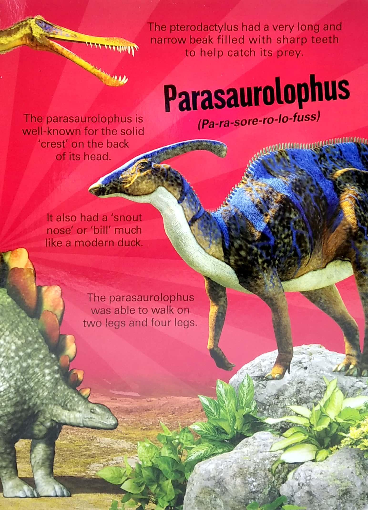 A Mega Sound Book: Roar! 10-Button Sound Book