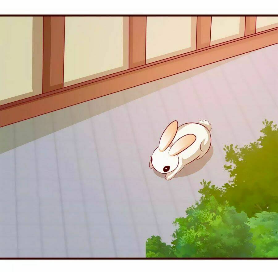 thỏ yêu tiểu vương phi chapter 18 22