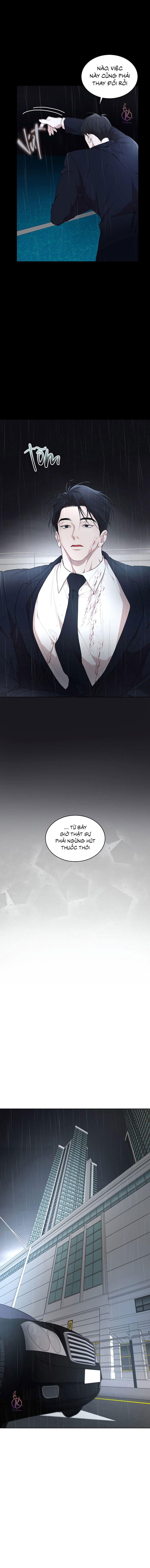 hình thái khởi sinh chapter 69 14