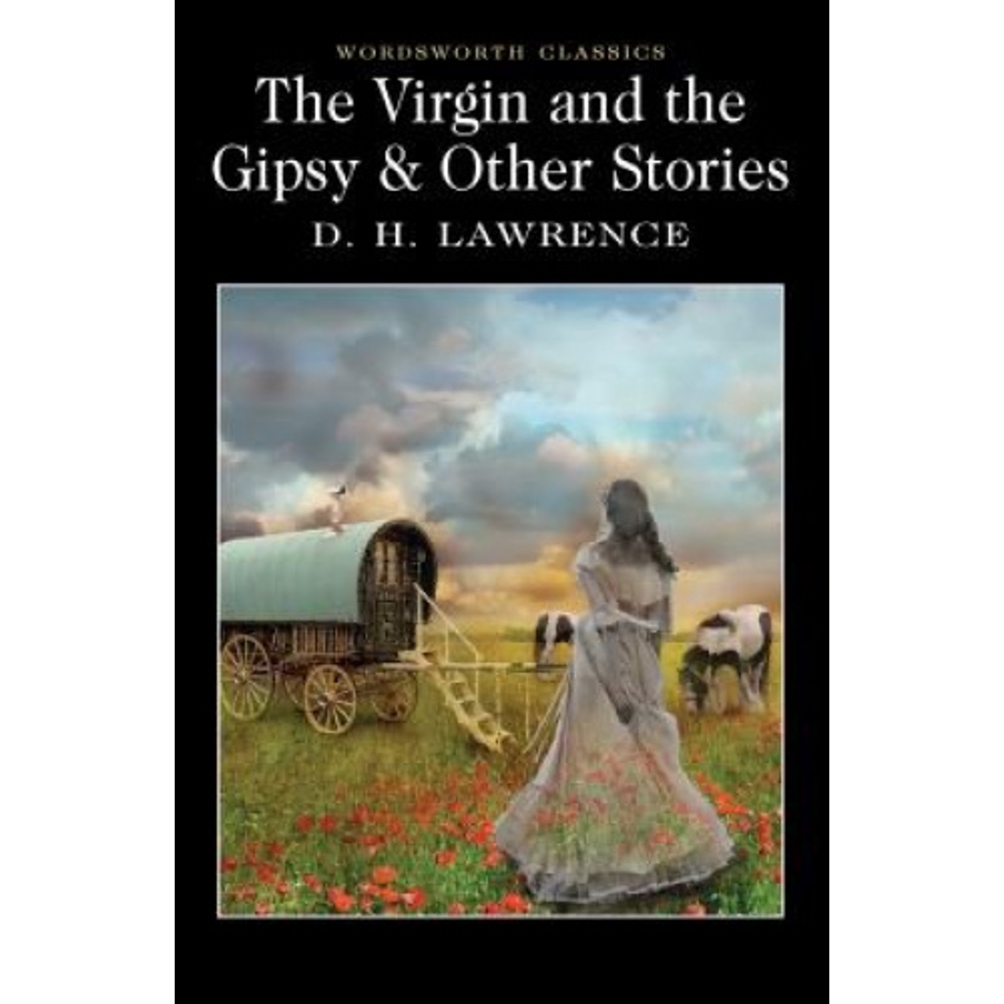 The Virgin and the Gipsy &amp; Other Stories