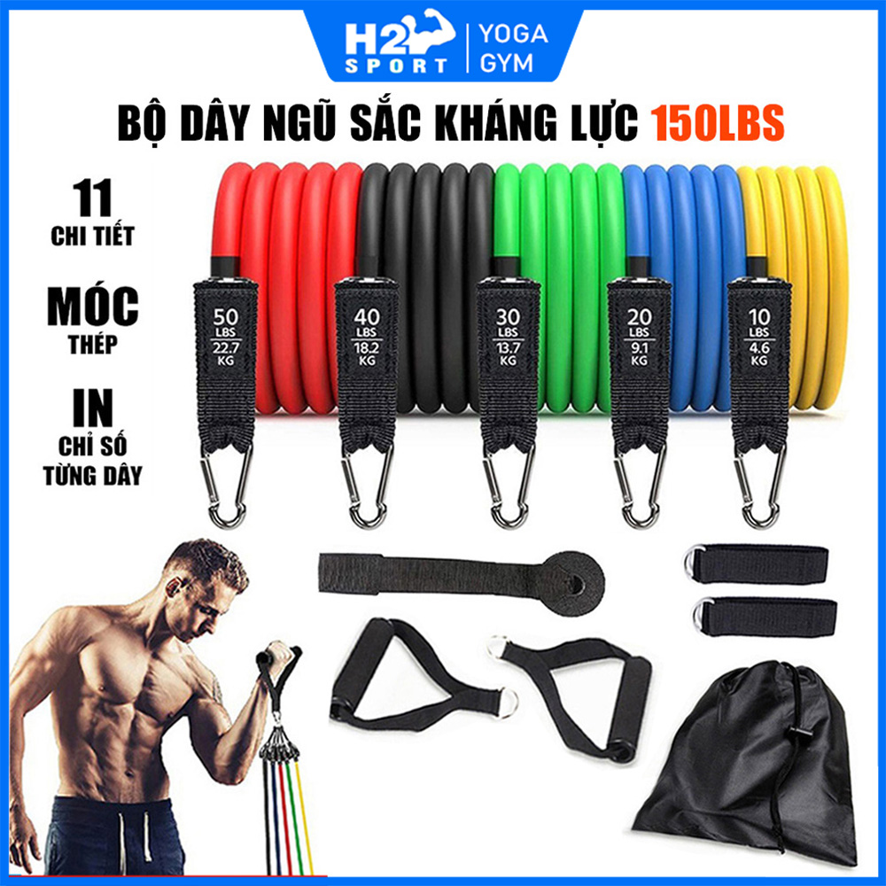 Bộ 5 dây ngũ sắc kháng lực tập Gym - Dây cao su kháng lực hỗ trợ tập toàn thân