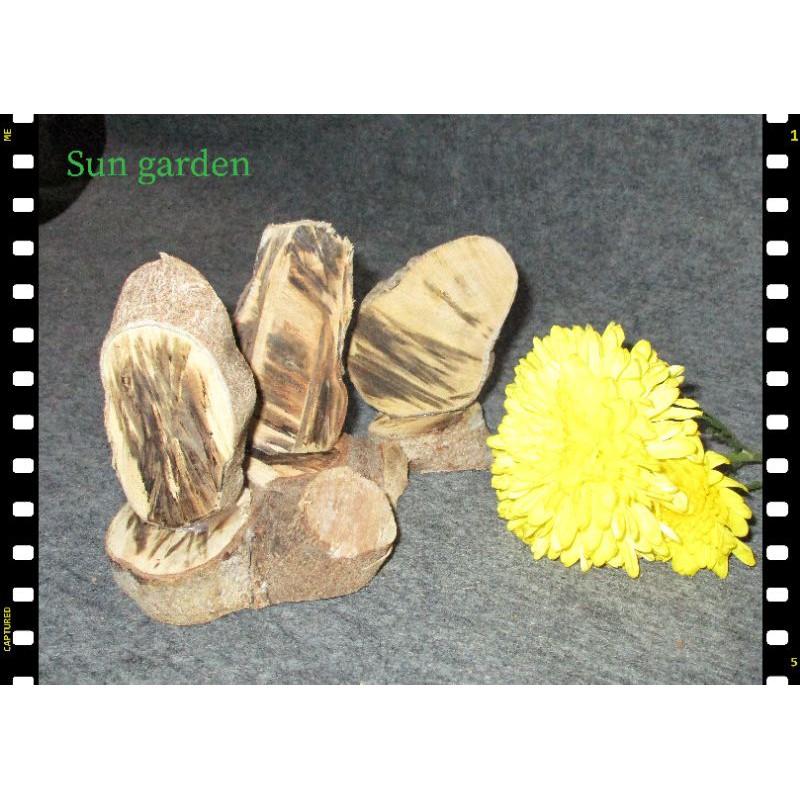 TƯỢNG GỖ MAI TRANG TRÍ SÁNG TẠO