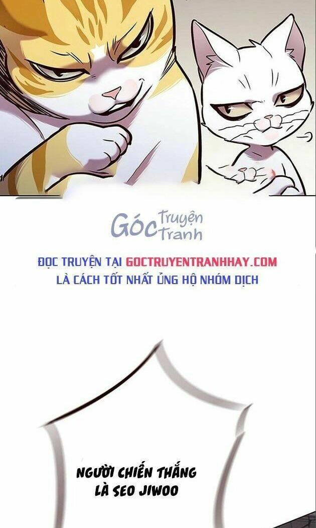 biến thân thành mèo chapter 198 89