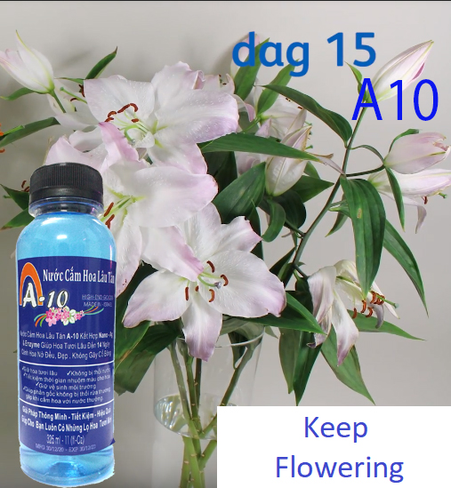 Nước Cắm Hoa Lâu Tàn A-10