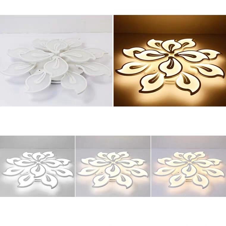Đèn Trần Mẫu TT20- đèn LED chiếu sáng Ốp Trần- Đèn Trần tô điểm thiết kế bên trong Hiện Đại.