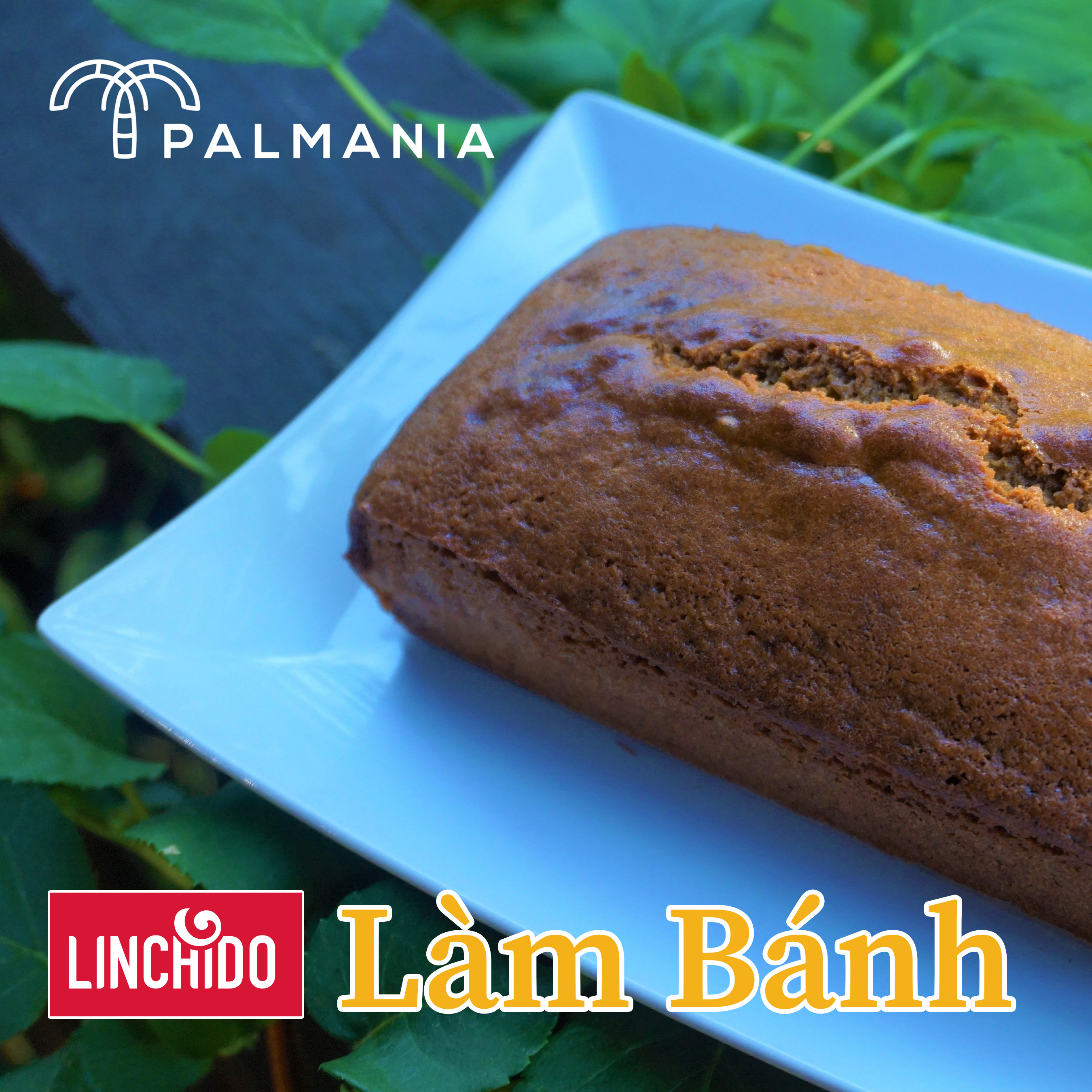 Combo 3 hủ - Mật thốt nốt sệt truyền thống PALMANIA | Nguyên Chất, Tự Nhiên (400 GRAM Hủ PET )