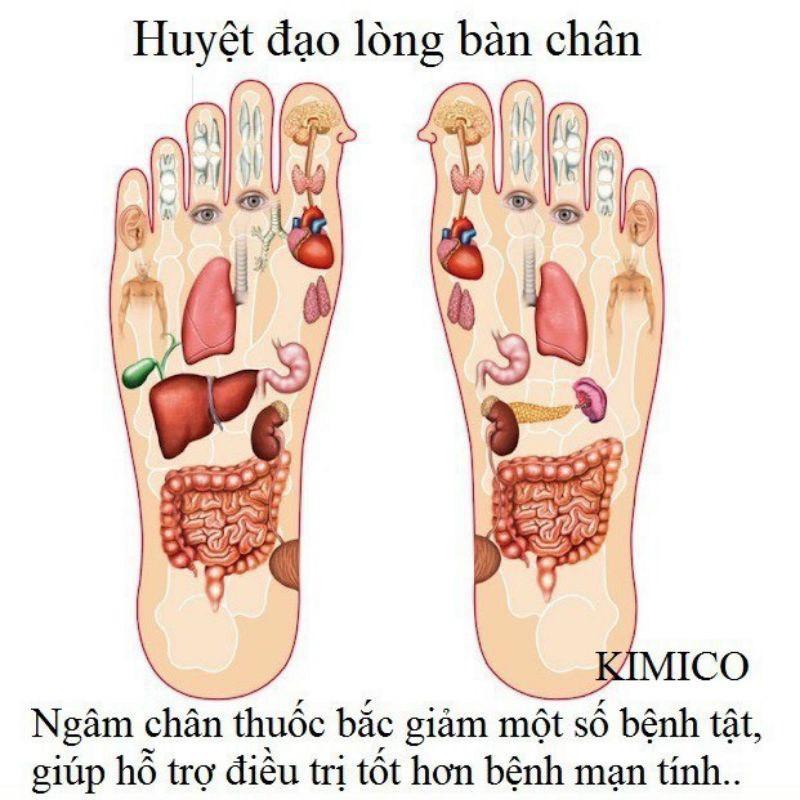 Hộp 50 Miếng Dán Chân Ngải Cứu Thải Độc Của Bắc Kinh.