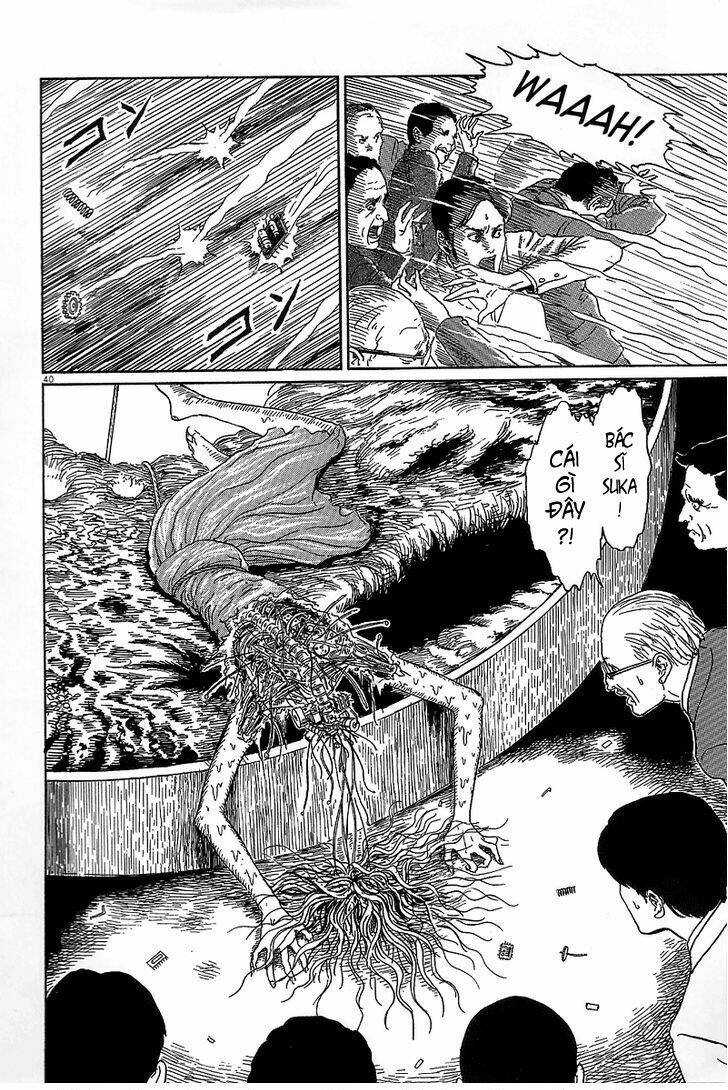 black paradox chapter 5 39