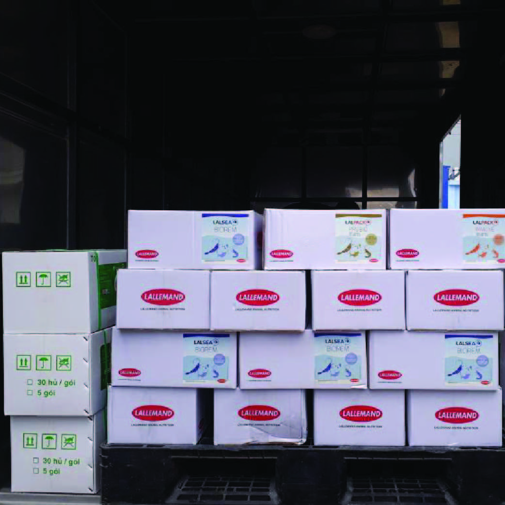 Vi sinh xử lý nước ao nuôi thủy sản LALSEA BIOREM
