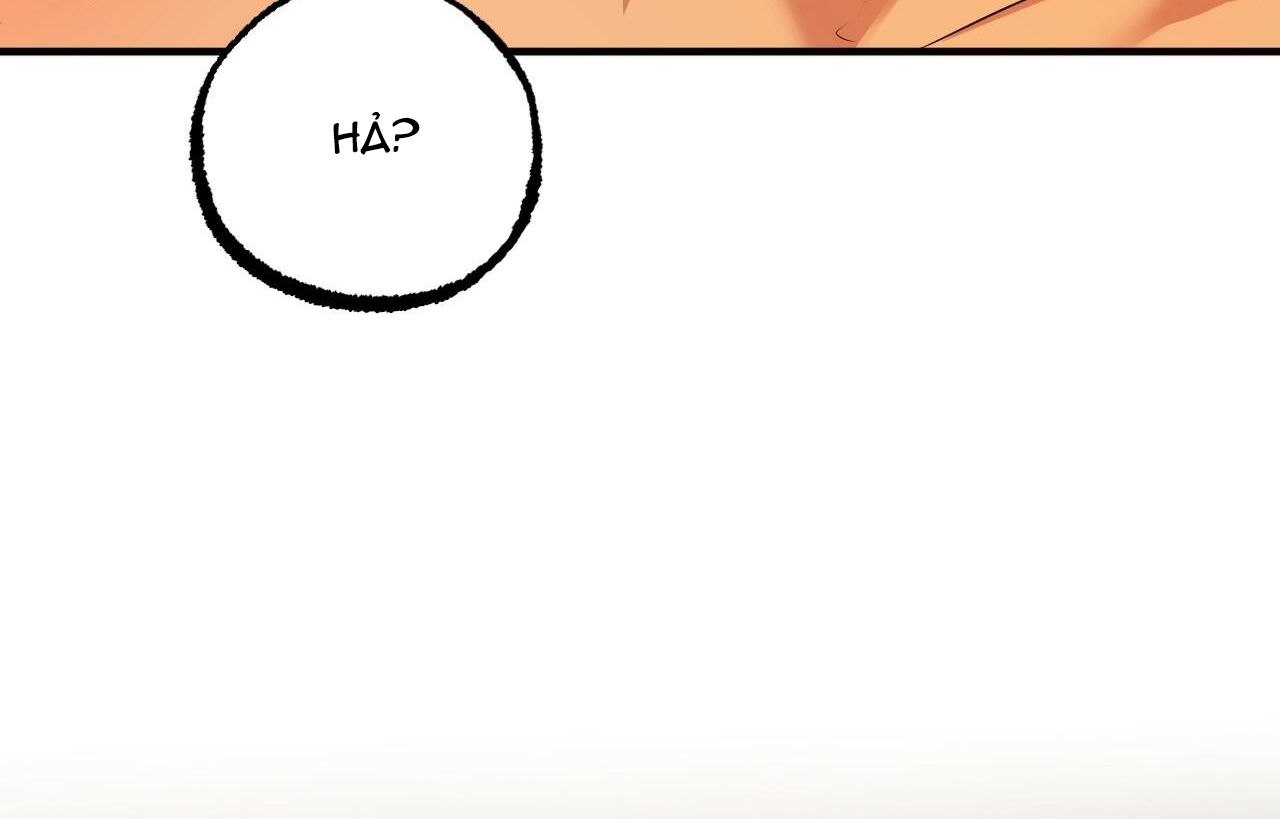 đàn thỏ của habibi chapter 26 66