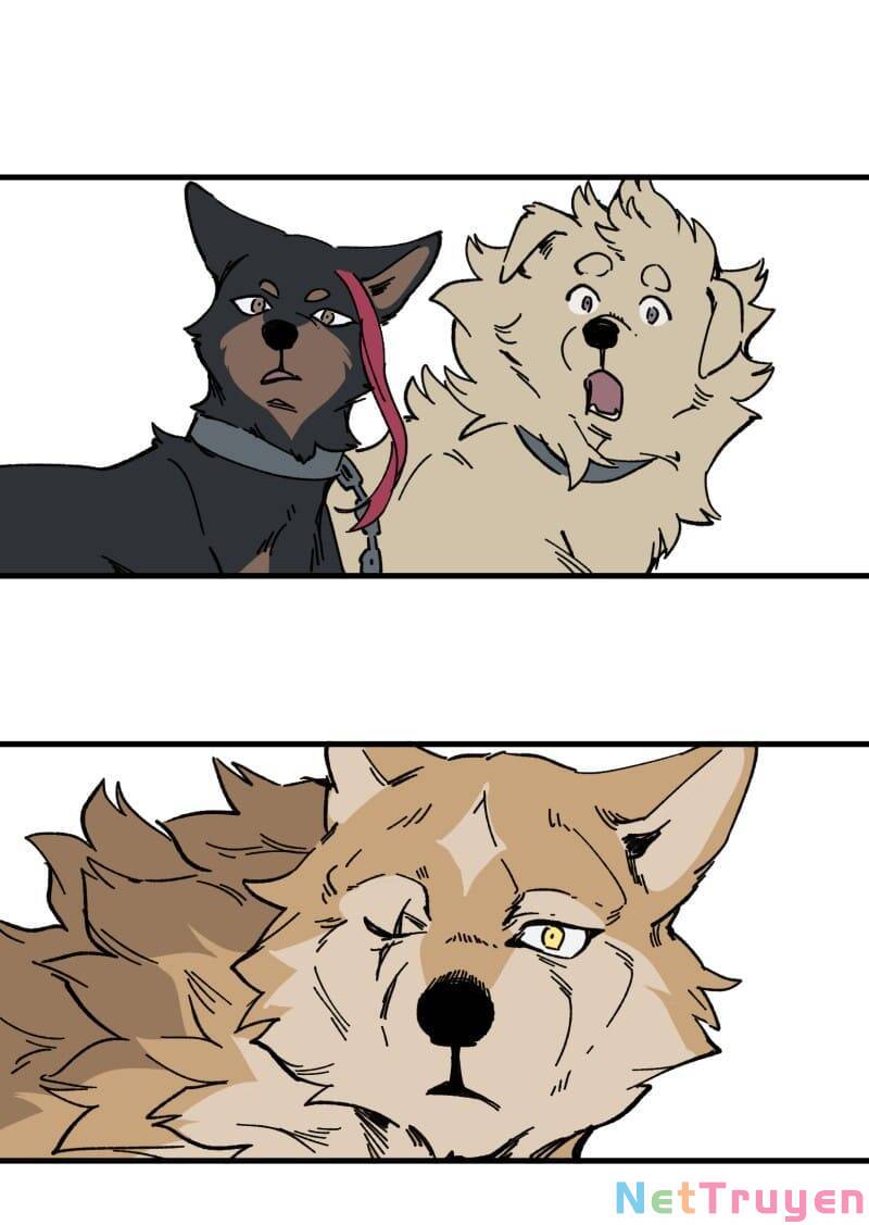 lumine - cội nguồn ánh sáng chapter 150 18