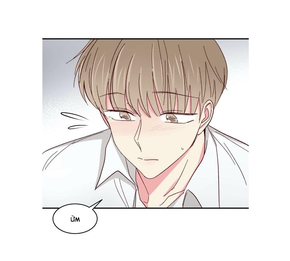 món tráng miệng của sếp tổng chapter 59 41