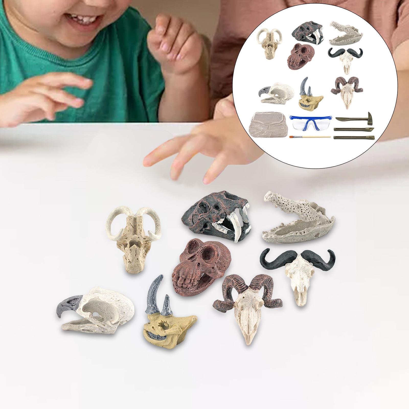 Dinosaur Excavation Kit Archaeology Discovery Kit for Toddler
