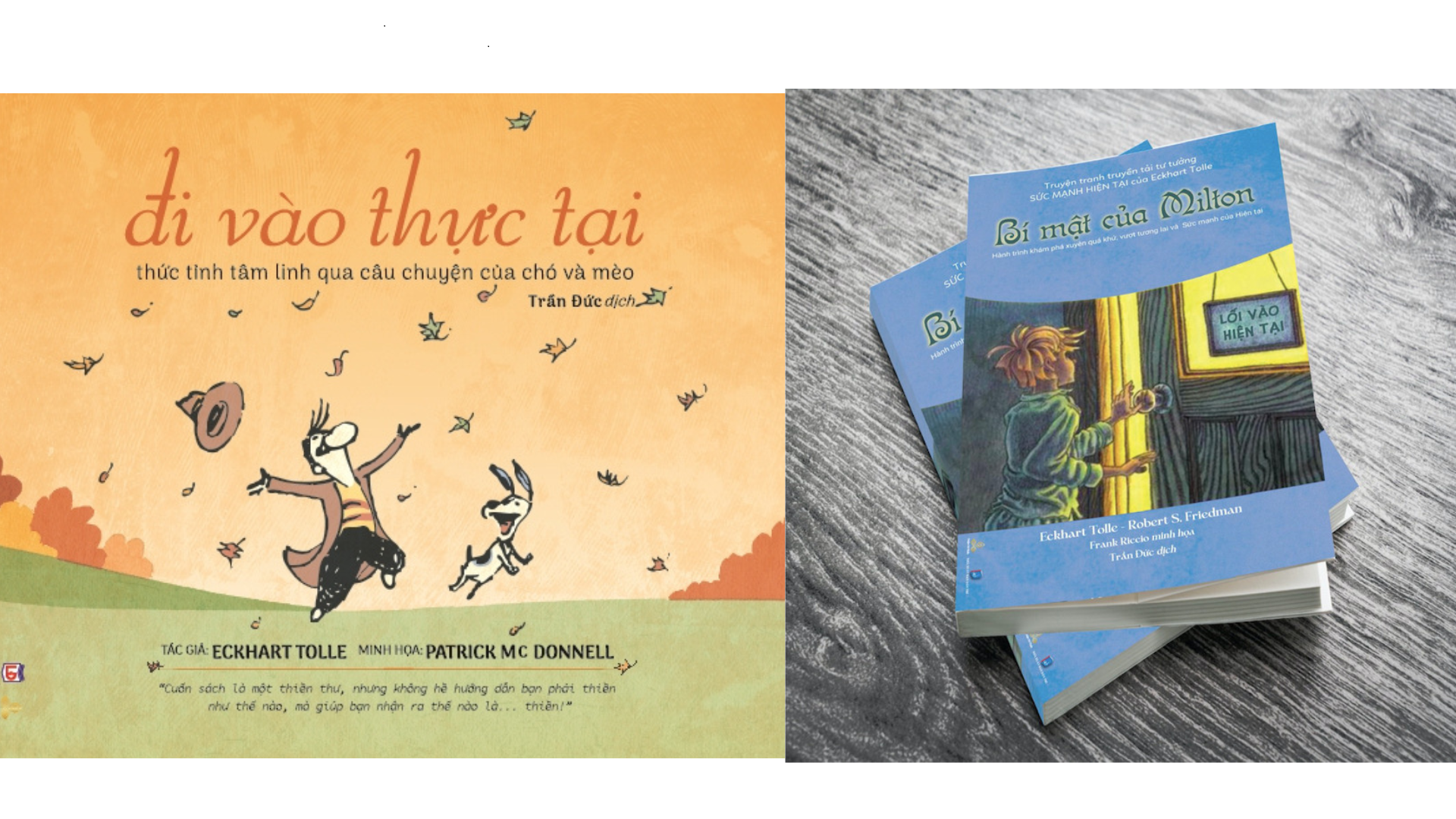 Combo sách Đi Vào Thực Tại & Bí Mật Của Milton