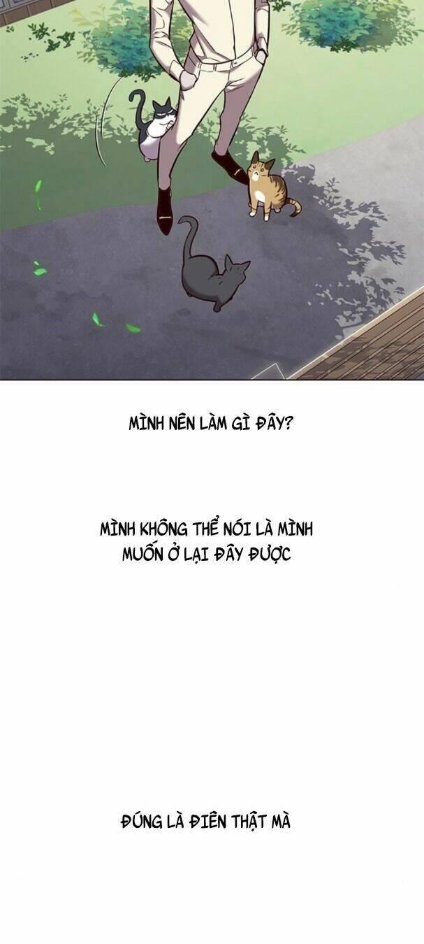 biến thân thành mèo chapter 179 48