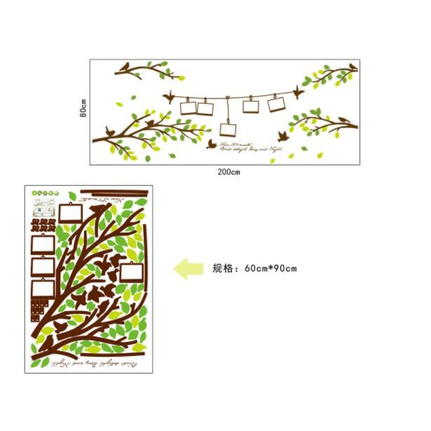 Decal trang trí tường Những nhánh cây và khung hình