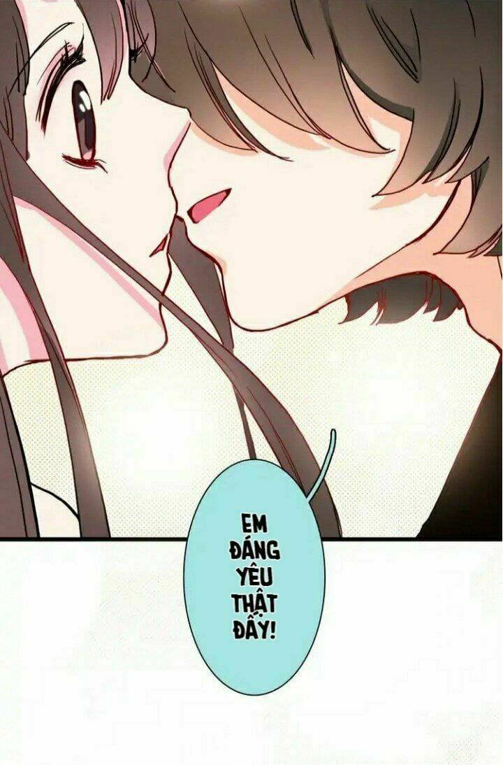 gấu nhỏ dư và thỏ thỏ hứa chapter 12 16