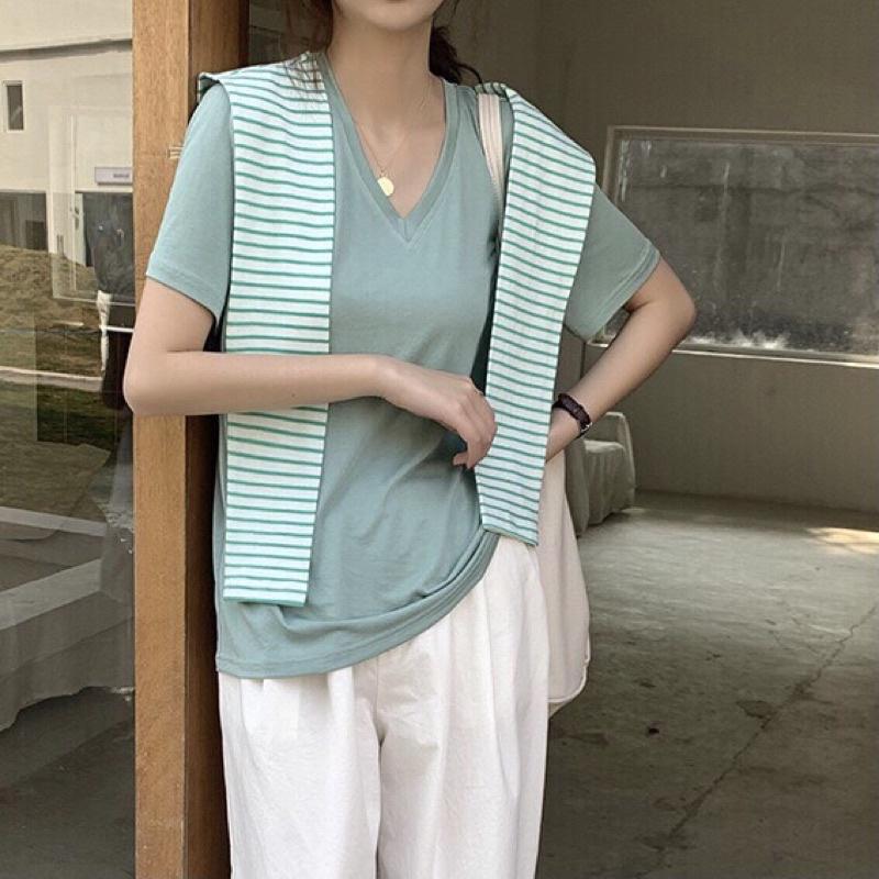ÁO THUN BASIC CỔ CHỮ V - 5 MÀU