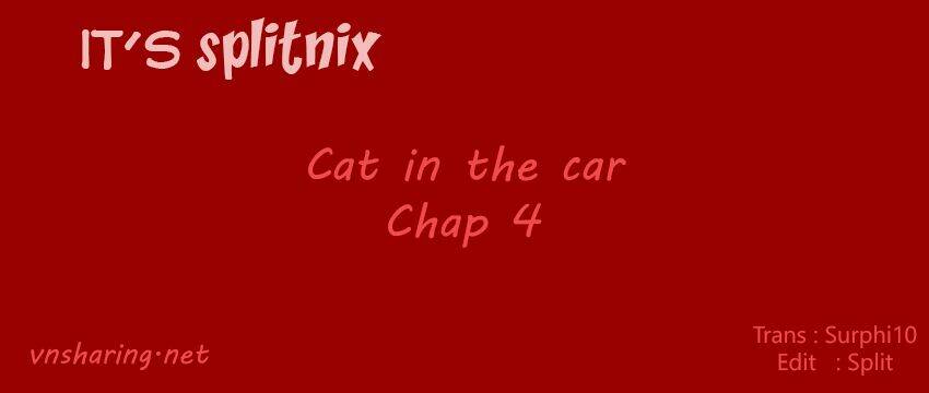cat in the car chapter 4 1