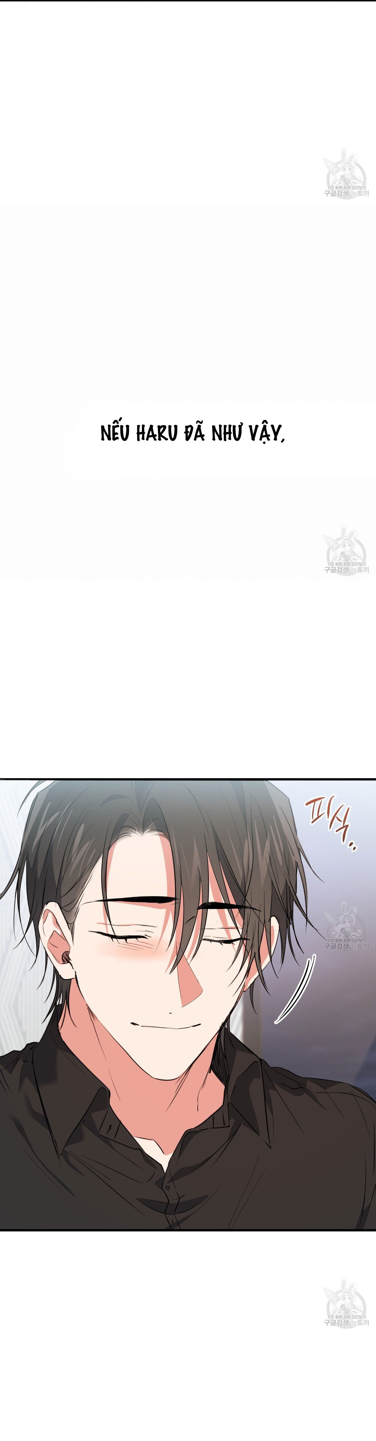 những chú thỏ của hapypy chapter 61.2 14