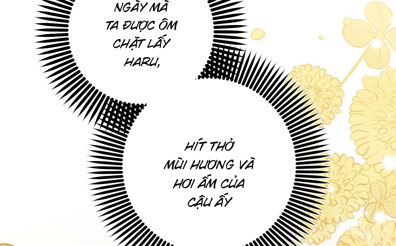 đàn thỏ của habibi chapter 52 30