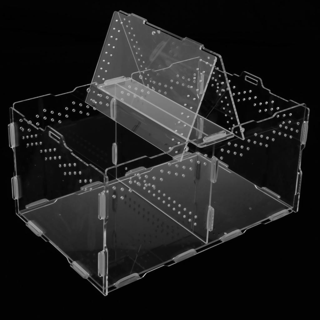 Acrylic Feeding Container Breeding Box An Room for Reptile