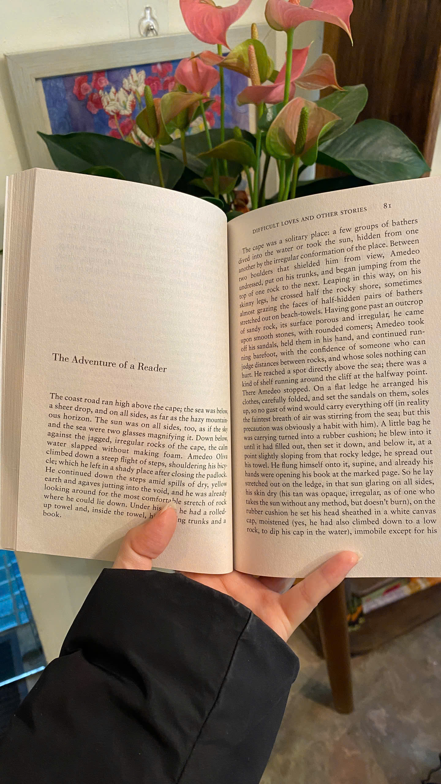 Sách - Difficult Loves & Other Stories - Italo Calvino| Short Stories/ Fiction / Ngoại văn Nhập khẩu