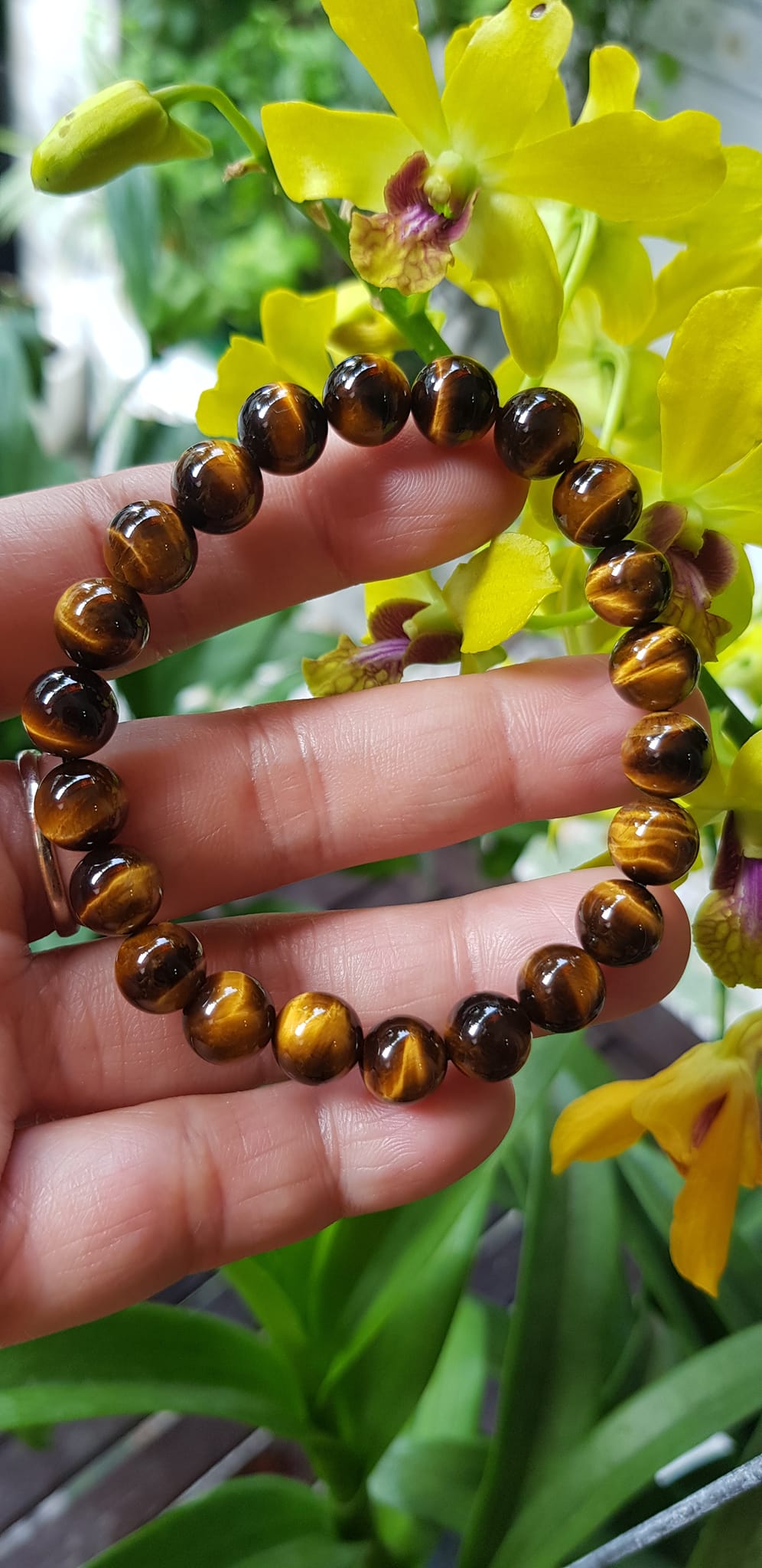 Vòng tay phong thuỷ may mắn nữ đá mắt hổ tự nhiên vàng nâu bóng mượt đẹp Size nữ vòng hạt 8mm Vòng hợp nữ mệnh kim mệnh thổ mệnh Thủy đeo tay đẹp ạ