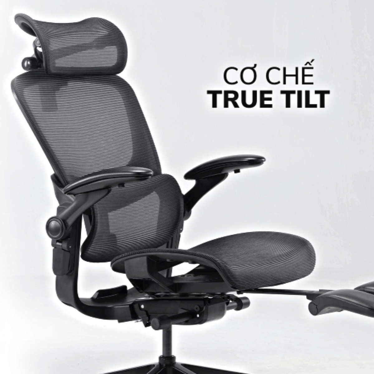 Ghế Công Thái Học Epione Easy Chair 2.0 - Ghế Văn Phòng Cao Cấp - Hàng Chính Hãng