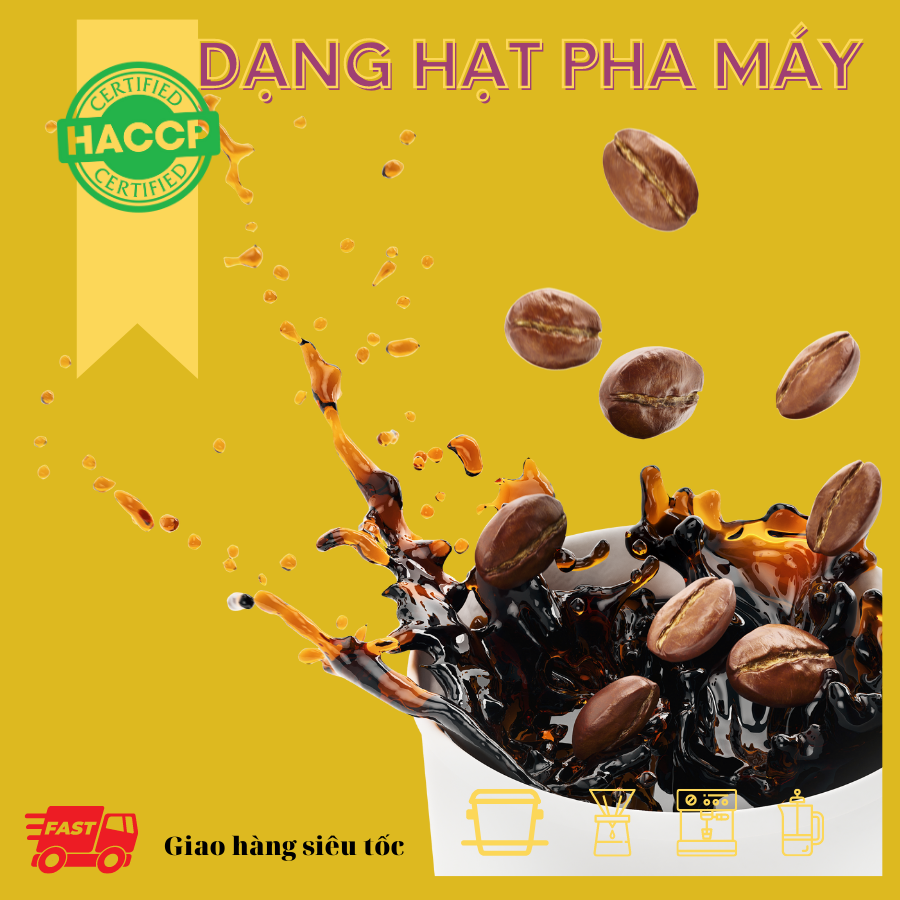 Arabica Washed - Vị đắng nhẹ, chua thanh, hương trái cây, hậu ngọt dịu - Cà phê pha phin/ Pha máy |250 - 500gr|
