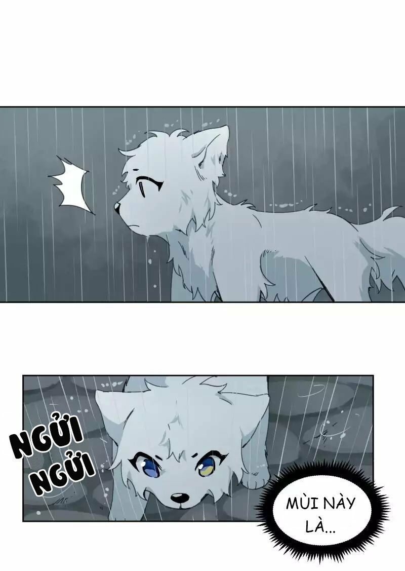 lumine - cội nguồn ánh sáng chapter 23 36
