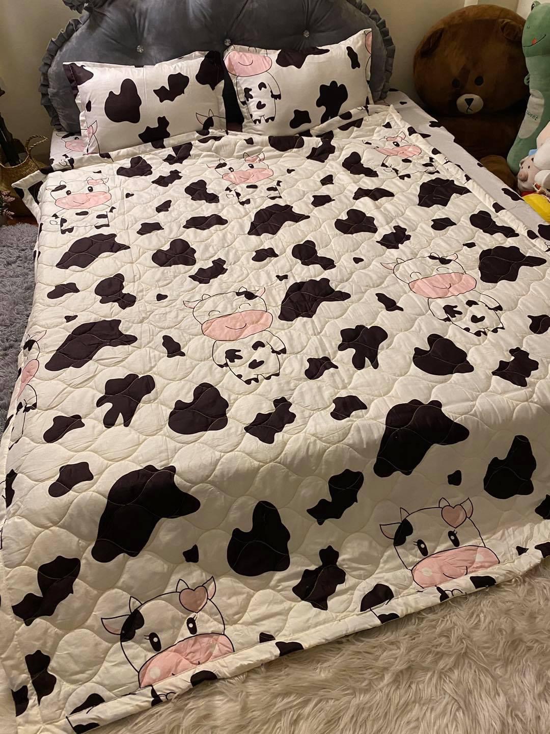 Bộ Chăn Ga Cotton Poly Hè Thu