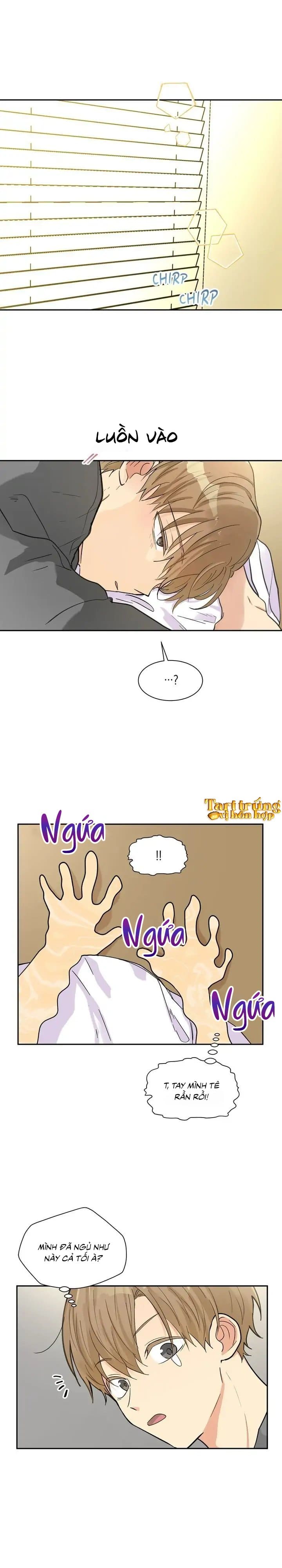 lỡ hàng xóm nhà bên là ma cà rồng thì sao?! chapter 9 1