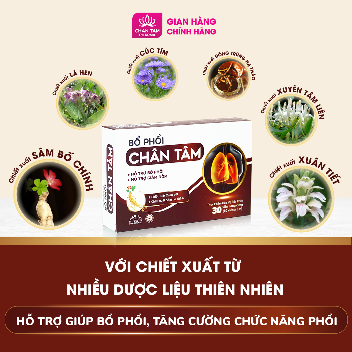 Viên uống bổ phổi Chân Tâm giảm ho, phục hồi chức năng phổi, tăng đề kháng hô hấp