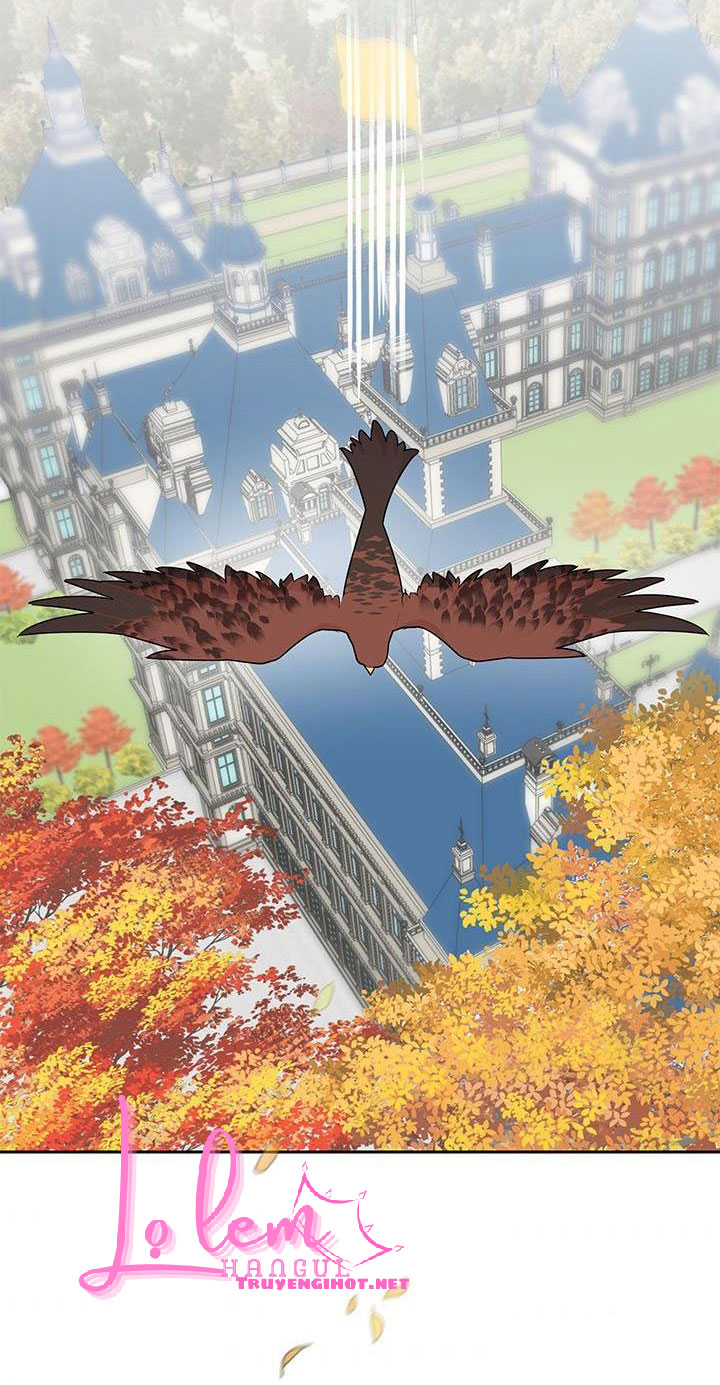 công chúa của loài chim chapter 37.2 14