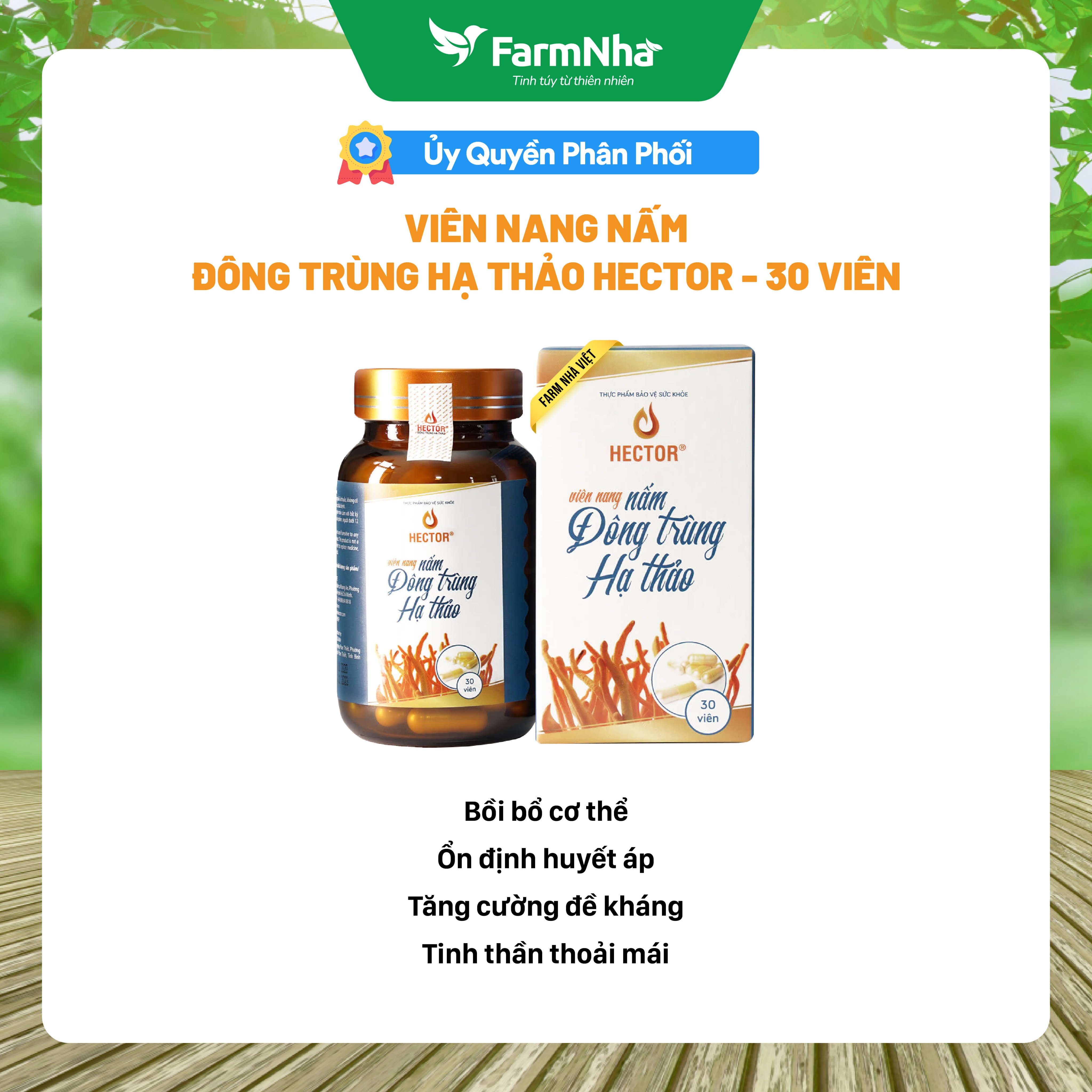 Đông Trùng Hạ Thảo Hector Dạng Viên Nang - Hàng chính hãng - Phục hồi sức khỏe, phục hồi làn da
