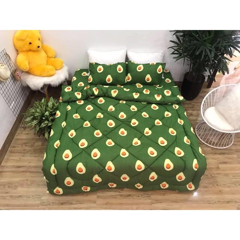 Combo 5 món chăn ga gối Cotton Poly nhiều kích cỡ