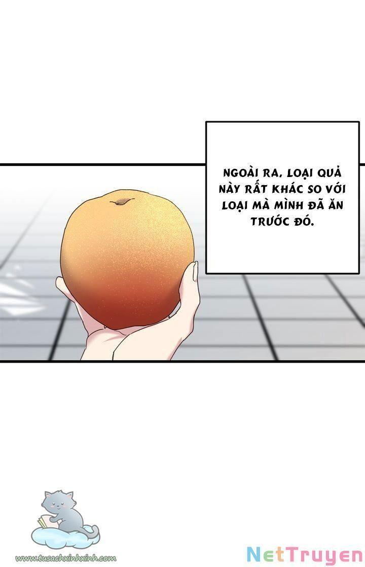 xin hãy cứ khóc, thái tử chapter 17 36