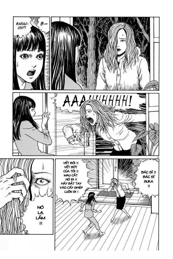 black paradox chapter 4 27