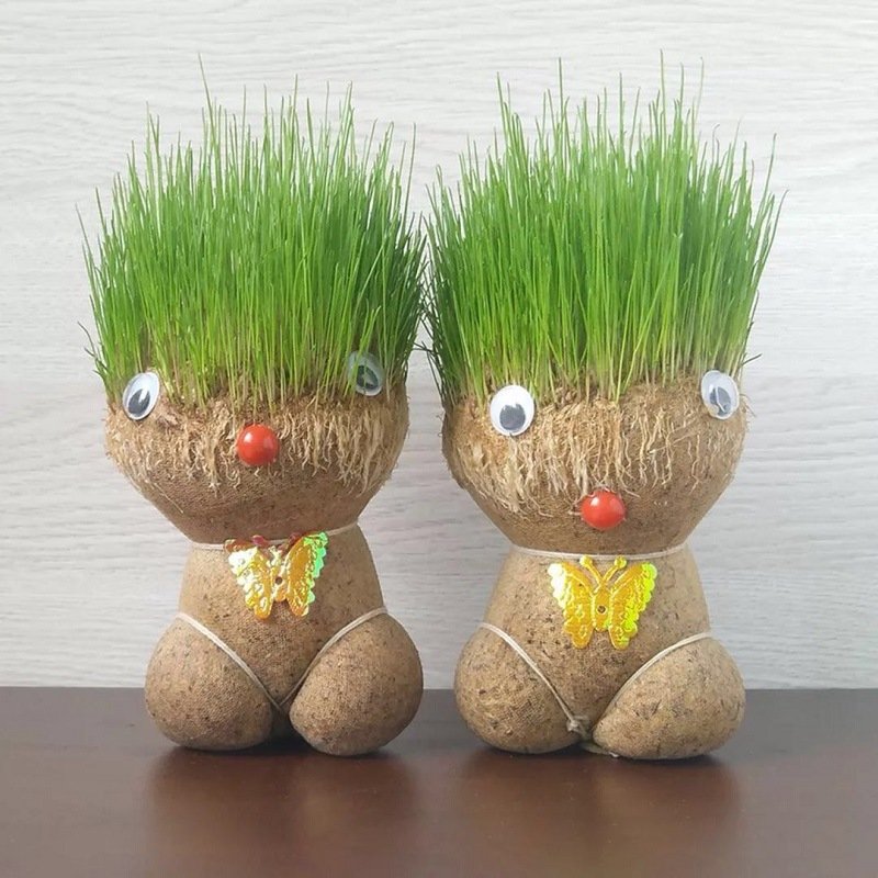 Búp bê cỏ trồng mọc tóc may mắn dùng trang trí nhà cửa quà tặng bạn bè người thân