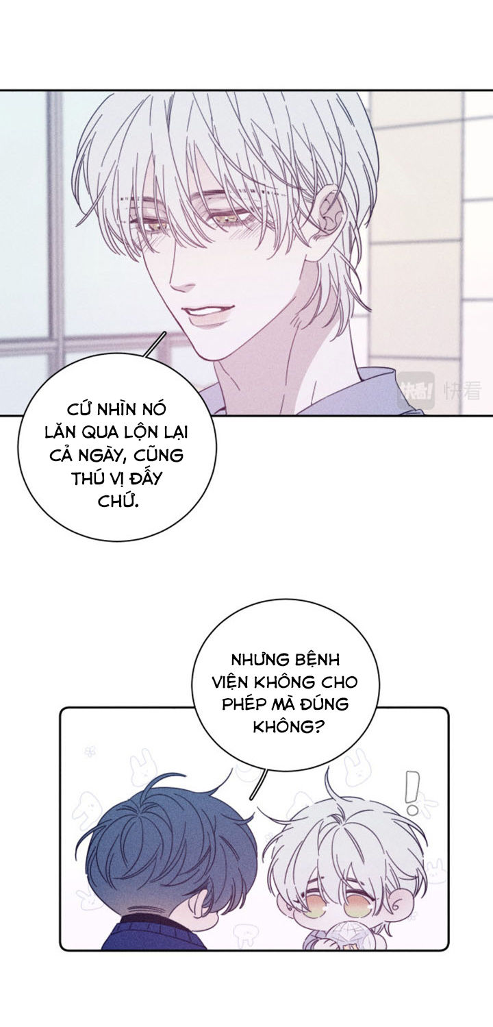 xuân nhật tương chí chapter 68 19