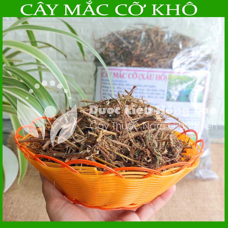 Cây Mắc Cỡ (Xấu Hổ) khô 1kg