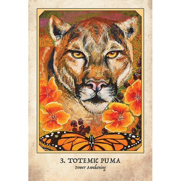 Bộ bài Tarot Earth Warriors Oracle Đ5