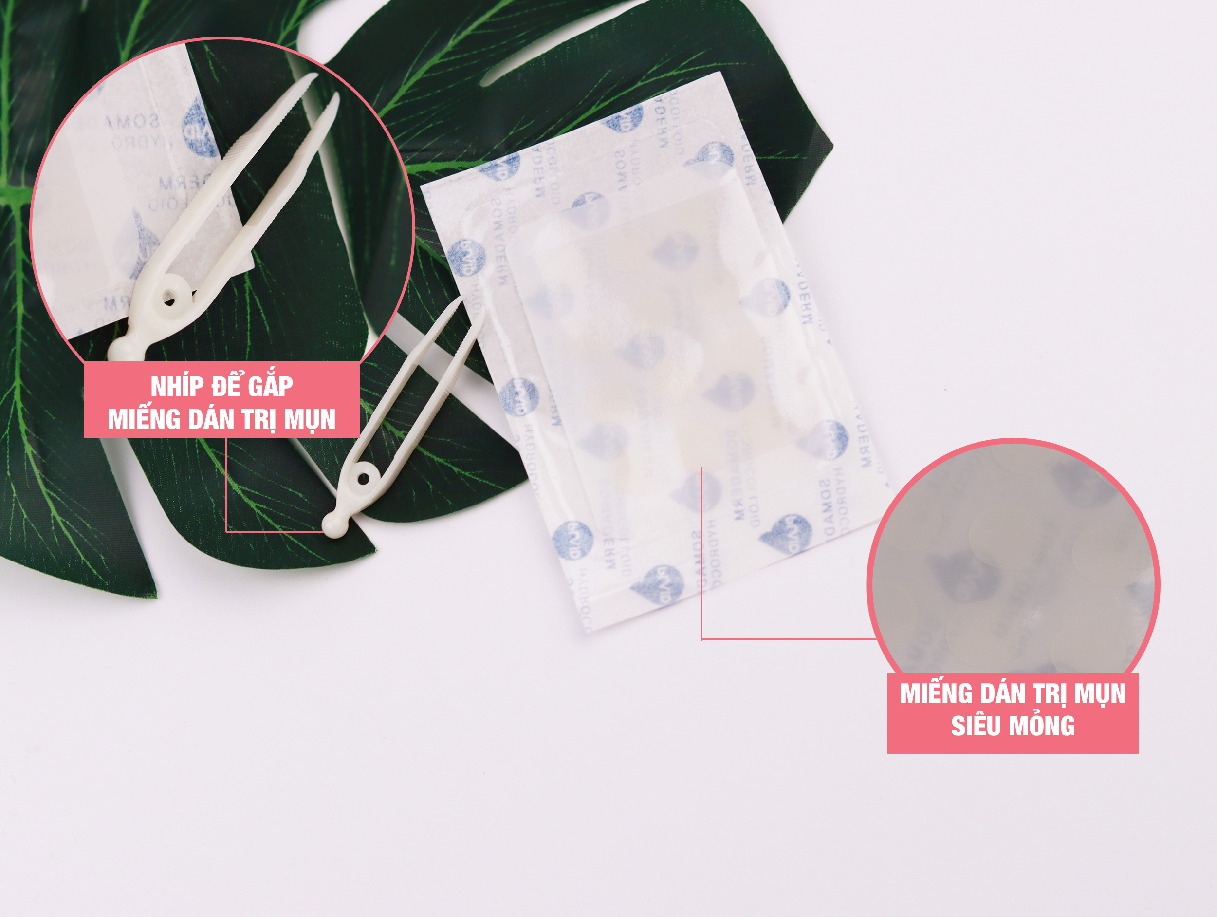 Miếng Dán Mụn, Ngăn Ngừa Sẹo Somaderm Thin