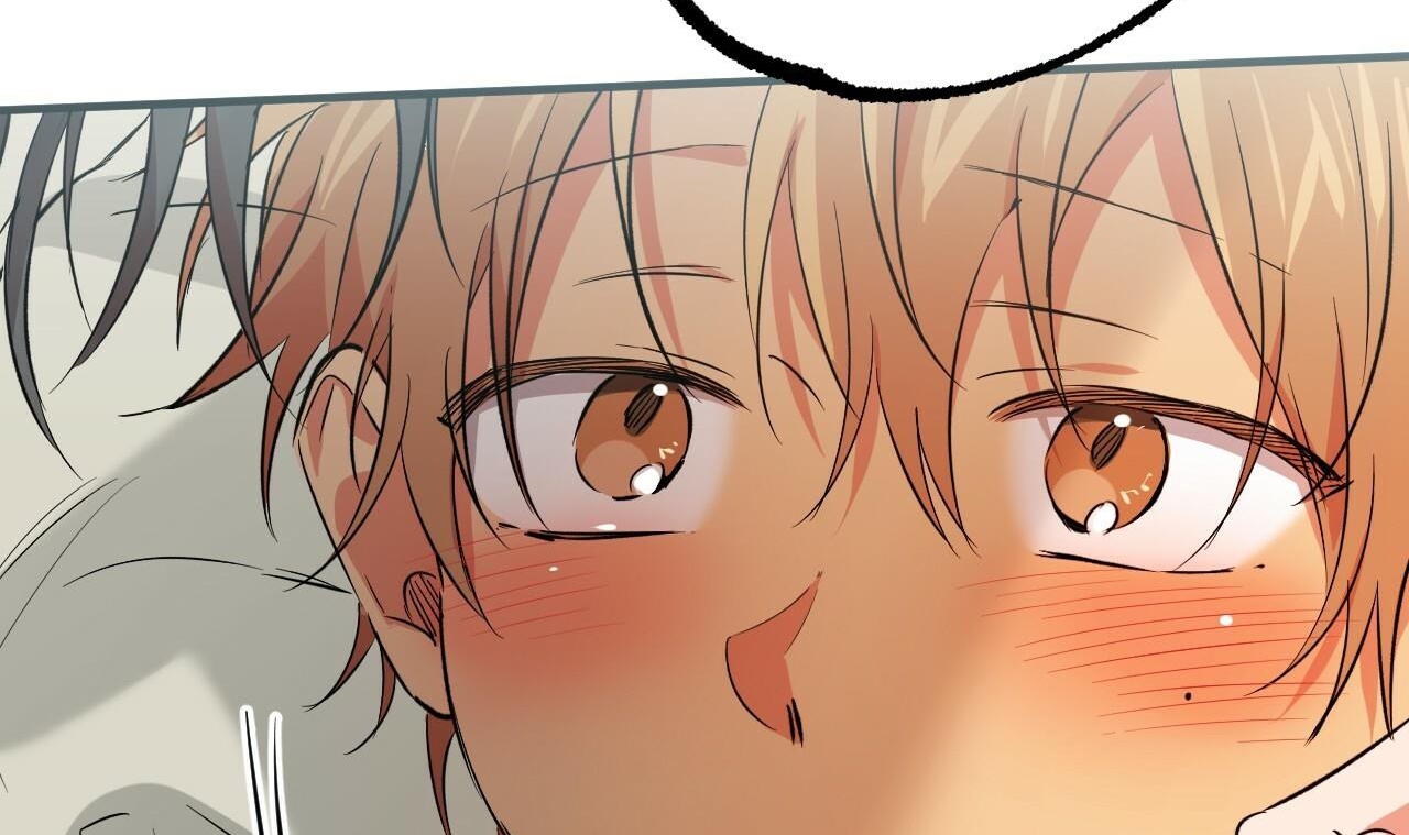 đàn thỏ của habibi chapter 53 244