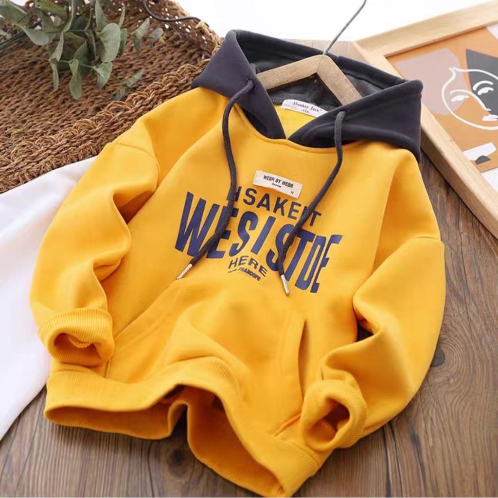 Áo nỉ hoodie cho bé trai bé gái từ 19-65KG size đại áo khoác trẻ em WESISTDE