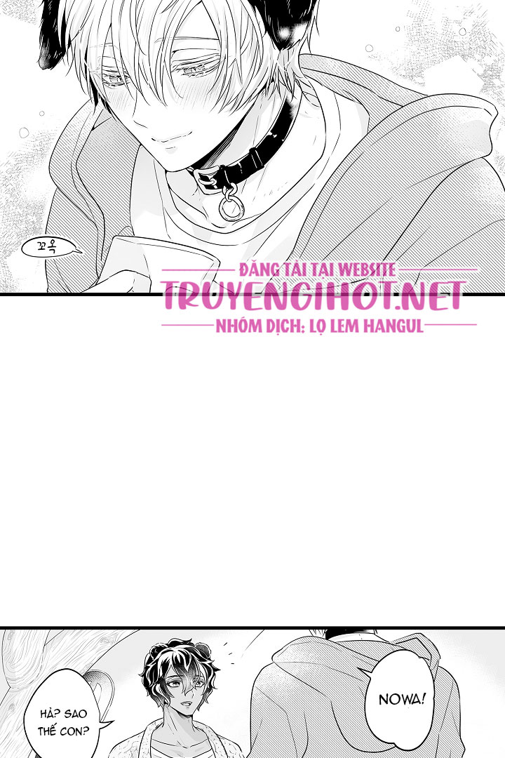 gấu ngủ đông chapter 12.3 12