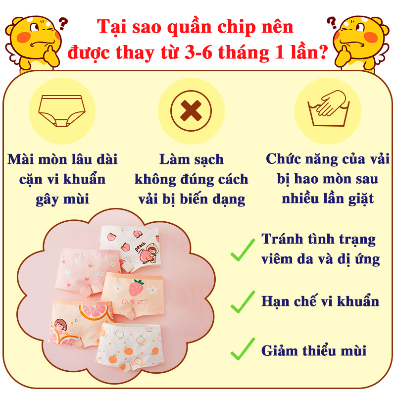 Quần chip bé gái nhiều họa tiết xinh xắn Baby-S, Set 5 quần chip đùi bé gái chất thông hơi thoáng mát – SC028